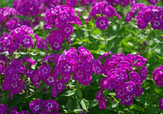 757121 (a): :2000x1400